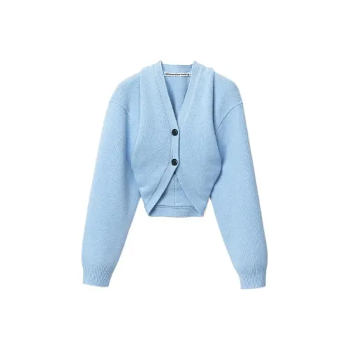 Alexander Wang Sweaters Women's Hemp Blue