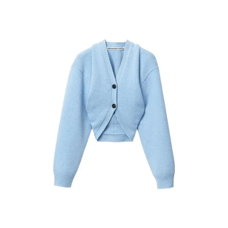 Alexander Wang Sweaters Women's Hemp Blue-0