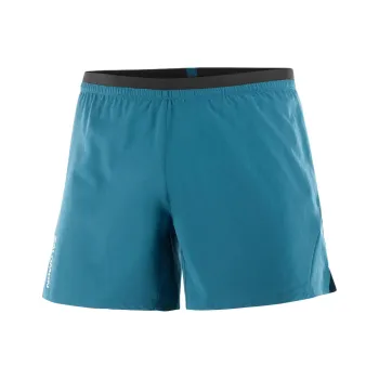 SALOMON CROSS 5' Casual Shorts Men's Blue