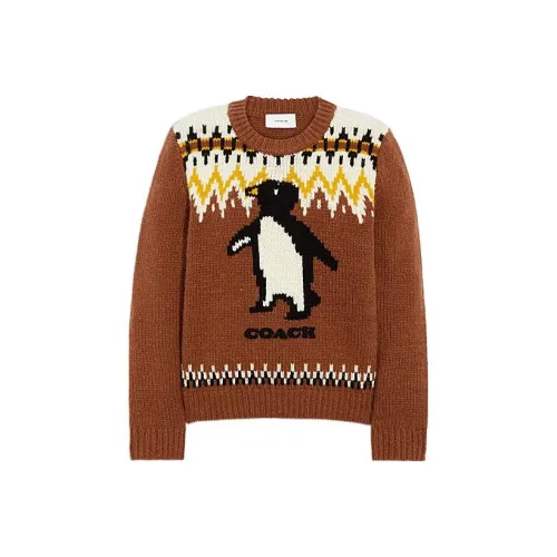 COACH FW22 Sweater Women's Brown