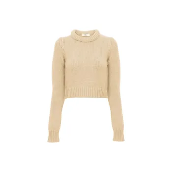 Chloé Crewneck Cropped Knitted Sweater