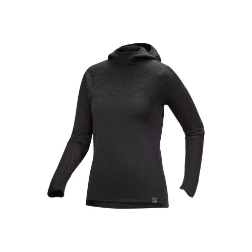 Arcteryx Hallam Merino Wool Hoody Sweater Women's