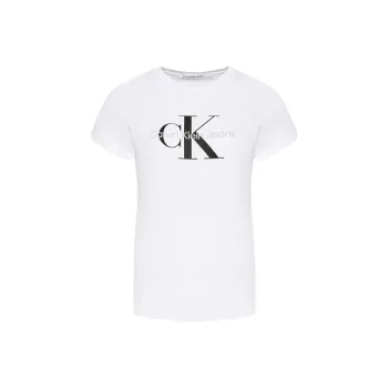 CALVIN KLEIN Regular T Shirt Women's White
