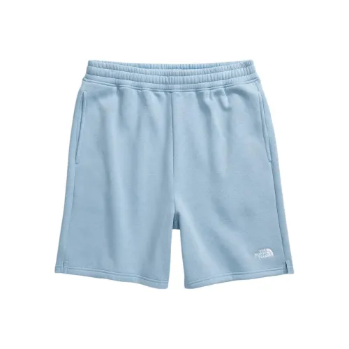 THE NORTH FACE Evolution Casual Shorts Men's Steel Blue