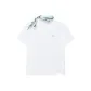 Standard White