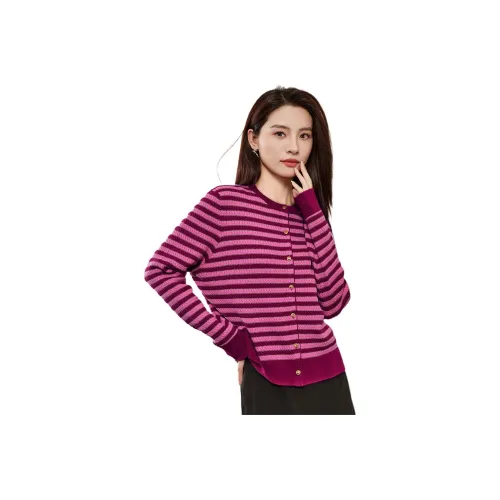 CARBAMMI Sweater Women's Rose Red