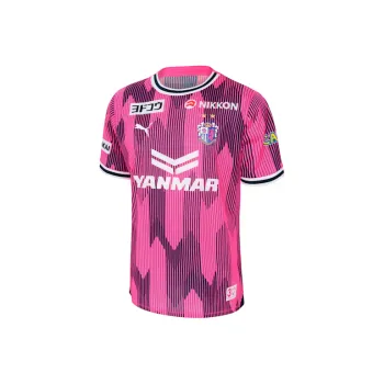 PUMA SS24 Soccer Jerseys Men's Raspberry