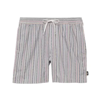 Vans Primary Stripe Elastic 17'' Boardshorts Casual Shorts Men's Gray