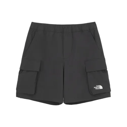 THE NORTH FACE ICE RUN CARGO Casual Shorts Unisex Gray