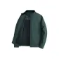 Gray Green