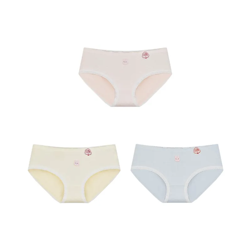 Herbal Primer Underpants Women's Combo Set-23