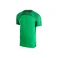 Shiny Green/Lucky Green/White
