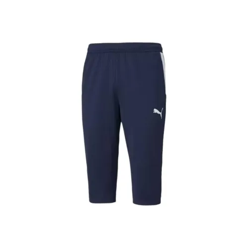PUMA Sports Shorts Men Blue
