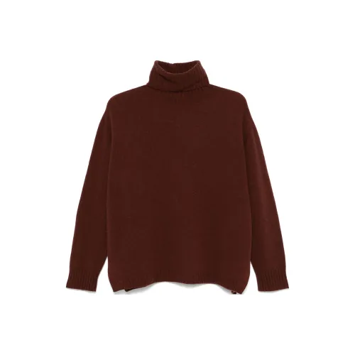 Alysi Roll-neck Sweater