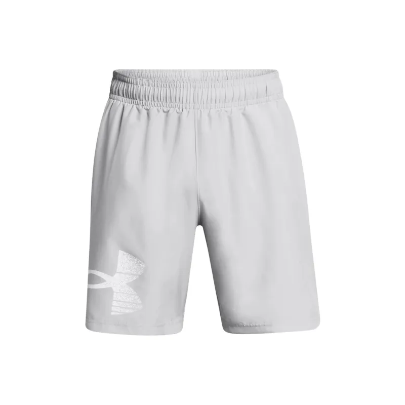 Under Armour Woven Collection UA Tech™ Graphic Shorts Casual Shorts Men's Gray-0