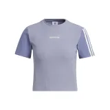 Silver Gray Violet