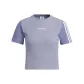 Silver Gray Violet