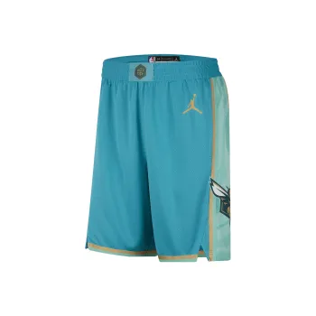 JORDAN Nba Charlotte Hornets City Edition 2023/24 Swingman Shorts