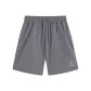 Premium Gray