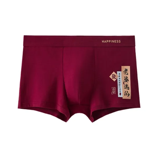 ROBINHOOD Underpants Men's Combo Set-2