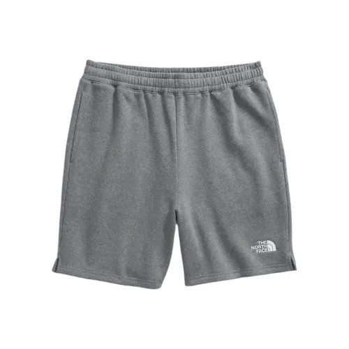 THE NORTH FACE Men’s Evolution Shorts