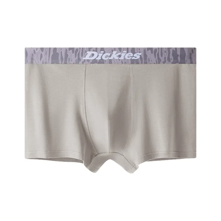 Dickies Underpants Men's Box 3 Pack-10