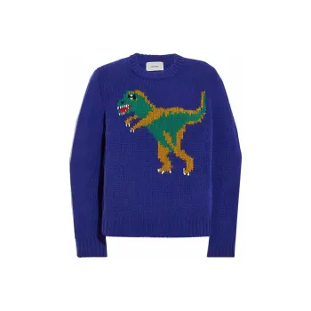 COACH Rexy Sweaters Women's Navy