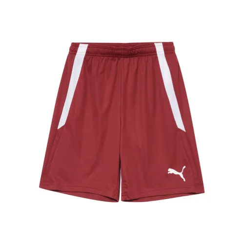 PUMA Sports Shorts Men's Brown Red