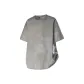 Desert Gray
