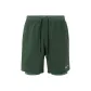 Vintage Green