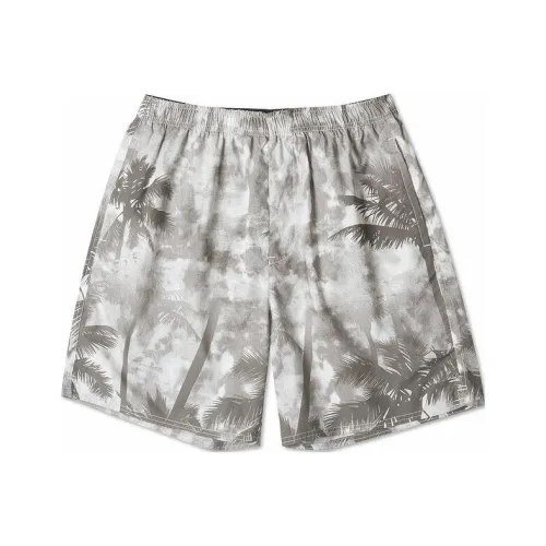 Converse Palm Trees 7' Shorts