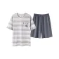 Gray Stripes