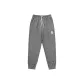 Icebreaker Gray Pants