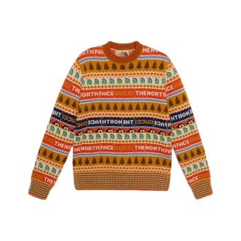 GUCCI X The North Face Sweater Multicolor