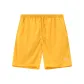 Chromium Yellow