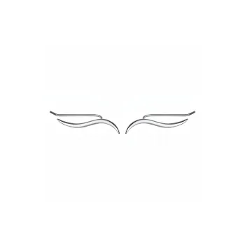 CENTURY&KINDLE S925 Silver Earrings Women's