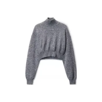 Alexander Wang Cropped High Neck Sweater