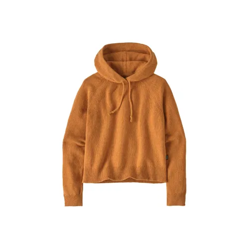 Patagonia Sweaters Women's