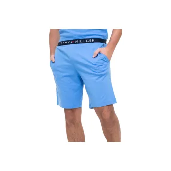 Tommy Hilfiger Casual Shorts Men's Blue