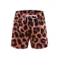 Leopard Print