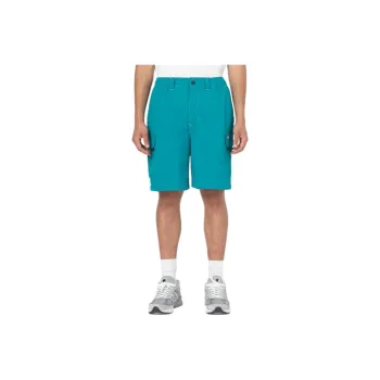 Dickies Casual Shorts Men's Dark Lake Blue