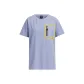 Silver Gray Violet