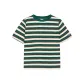 Dark Green Stripes