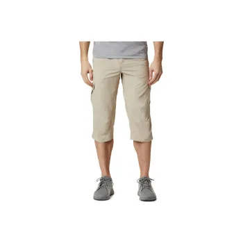 Columbia Silver Ridge Casual Shorts Men's Fossil Gray