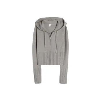 Hollister Sweater Women's Light Stone South Mocha