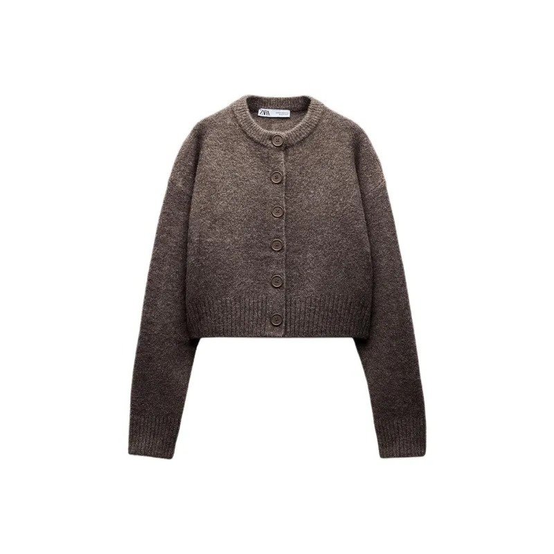 ZARA Sweater Women's Glitter Brown-0
