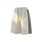 Light Gray 31