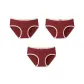 3 Pack (Heart Little Dragon+Minimalist Style Letter+Joy Rich Overnight)
