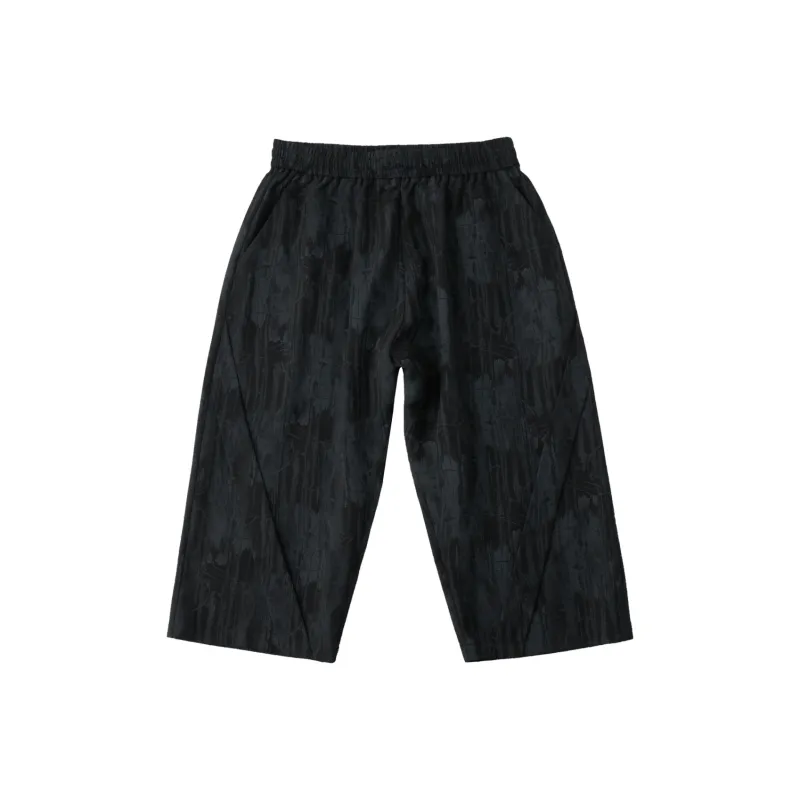 Pin Li Casual Shorts Men's Black-0