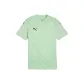 Fresh Mint